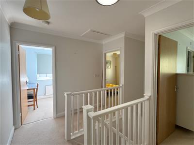 Picture 15